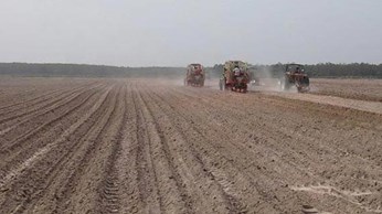 Xây dựng cánh đồng lớn- xu hướng phát triển cho ngành Mía đường